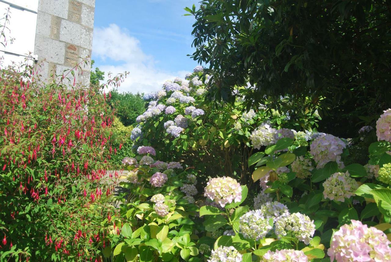 B&B Le Mesnil Saint-Senier-sous-Avranches ภายนอก รูปภาพ
