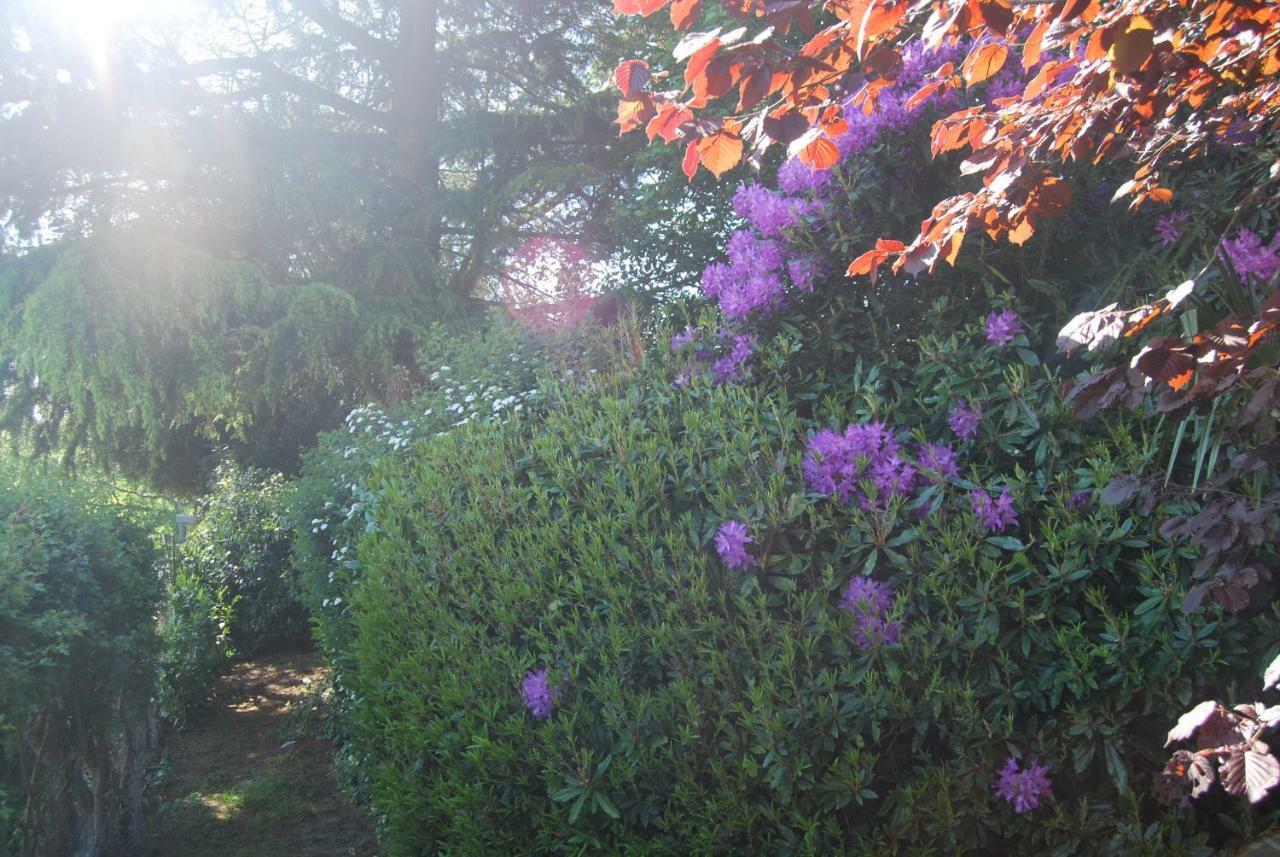 B&B Le Mesnil Saint-Senier-sous-Avranches ภายนอก รูปภาพ